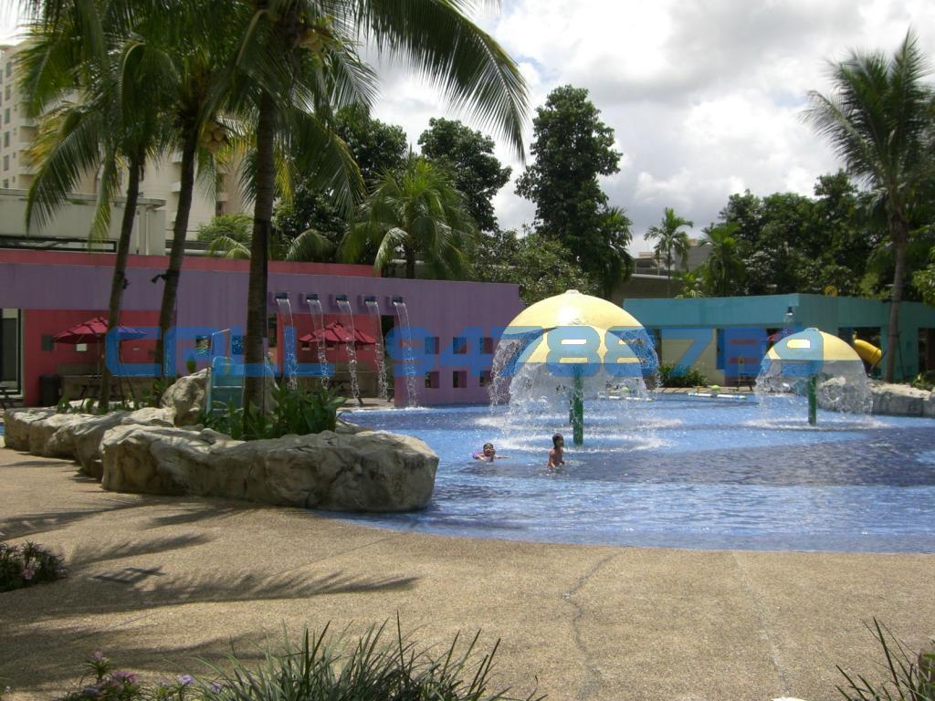 The Warren thumbnail photo